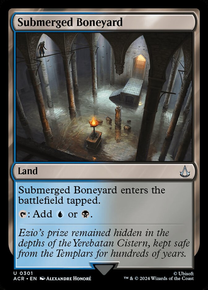 Submerged Boneyard #301 - Assassin's Creed (ACR)