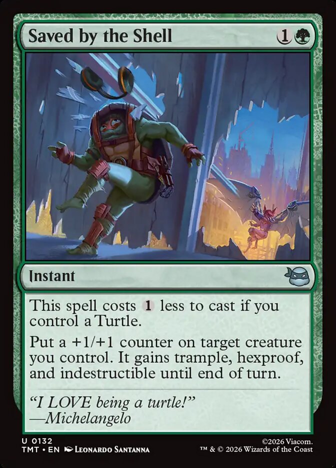 Saved by the Shell - Teenage Mutant Ninja Turtles (TMT)